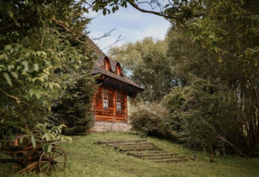 Przystanek Ropienka Leśniczówka, Ropienka